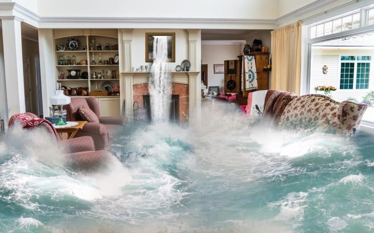 The Best Way to Deal with Water Damage