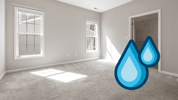 wet carpets restoration near me in Mason OH, Rented Carpet Cleaning Machine