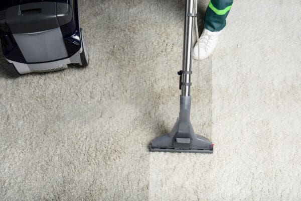 professionally cleaned carpets
