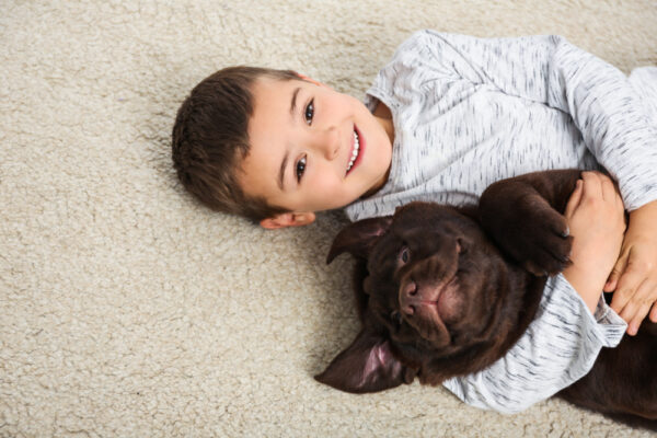 Pet Odor & Stain Removal in West Chester, OH